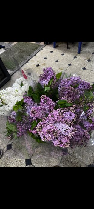 Сирень, от которой кружится голова(И не только голова)