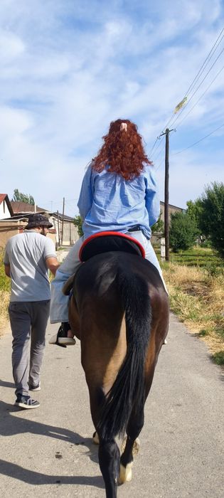 Ot minishi orgataman puli arzon