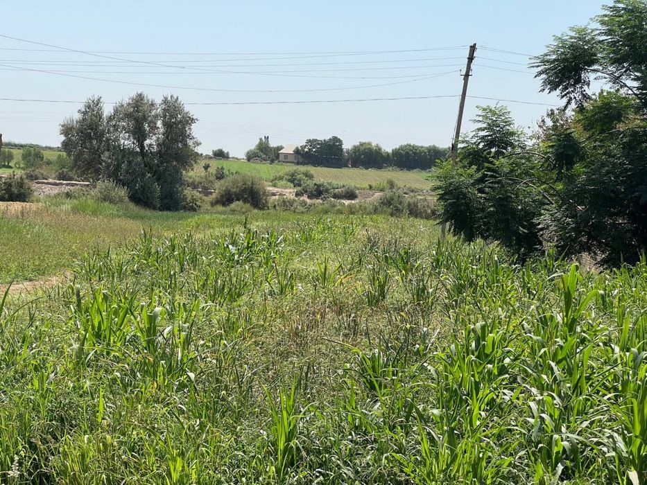 Yer sotiladi продется земля