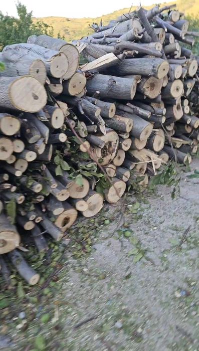 Дрова бесплатно орех отдам