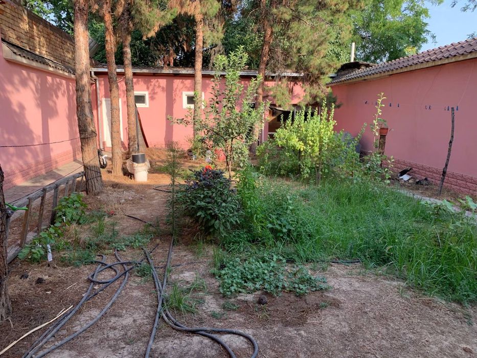 Сарыкульда Центрдан 10 минут йол