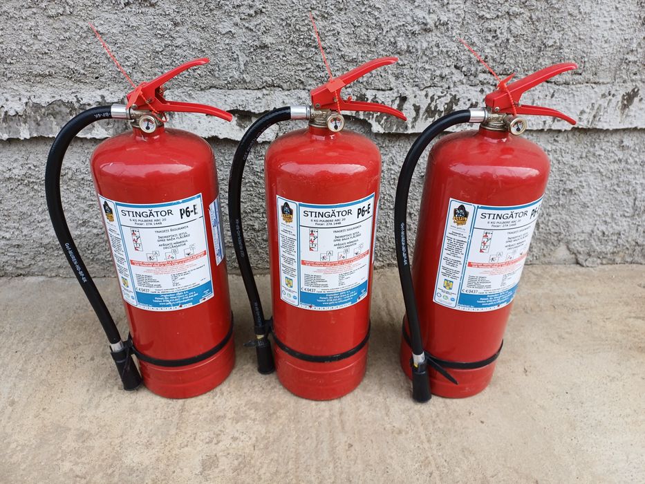 Stingător P6  cu termen și valabilitate