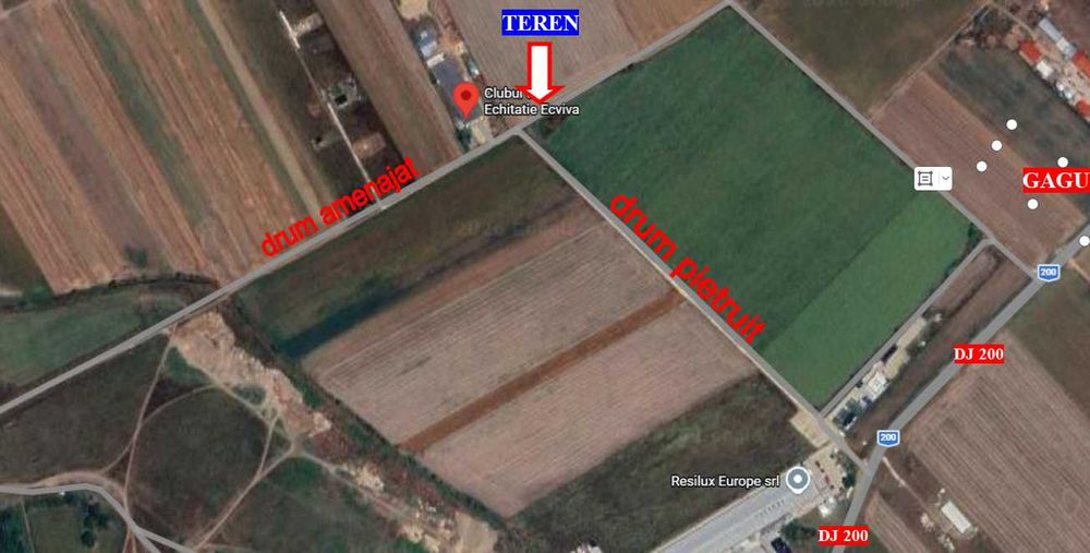 Teren Dascalu, 10.000 mp