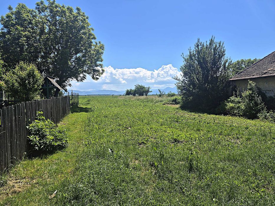 Teren de vanzare, Ilieni