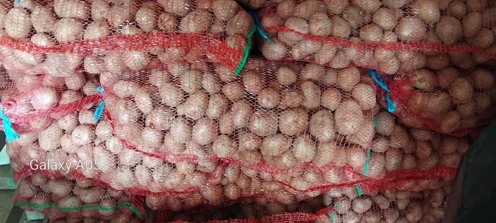 De vânzare cartofi consum belaroza