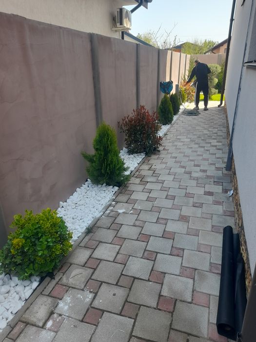 Amenajări grădini Tuia Spirale Tei Brazi de evenimente