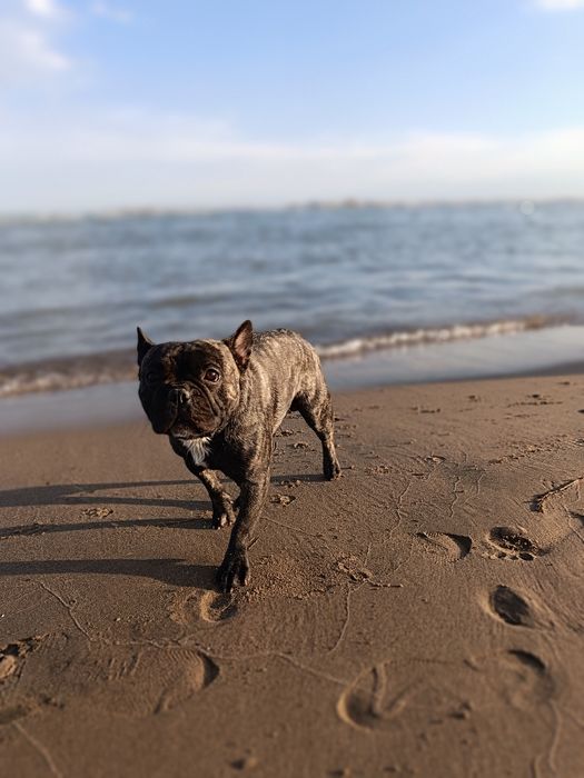 Молодой красавчик