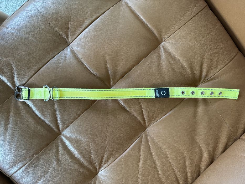 Zgarda cu LED pt caine