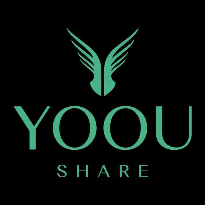 Yoou Power kompaniyasi, Powerbank ijarasi franshizasi