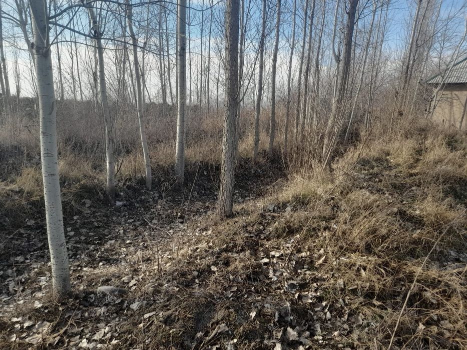 Er uchastkasi sotiladi