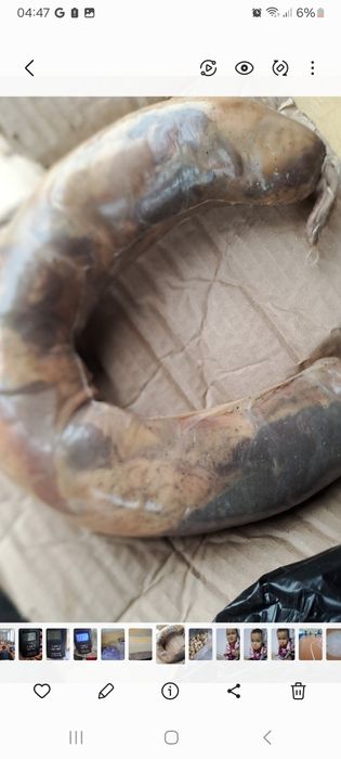 Тараздын казылары сатылады