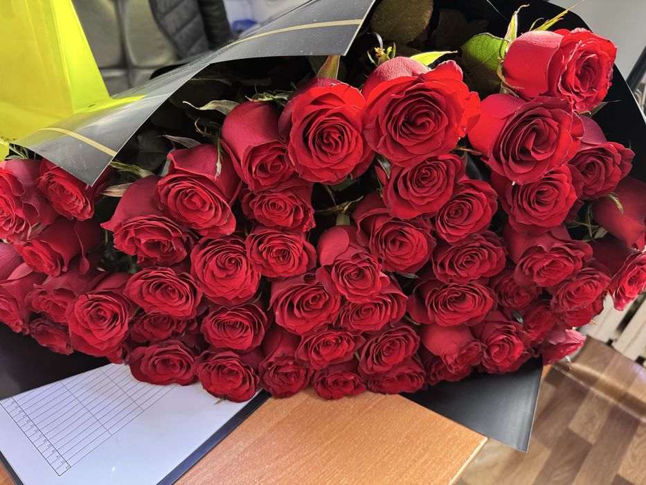 Голландские розы Explorer