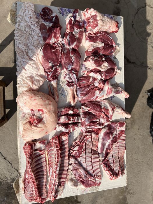 Тирик қўй, қассоб, тирик вазнига