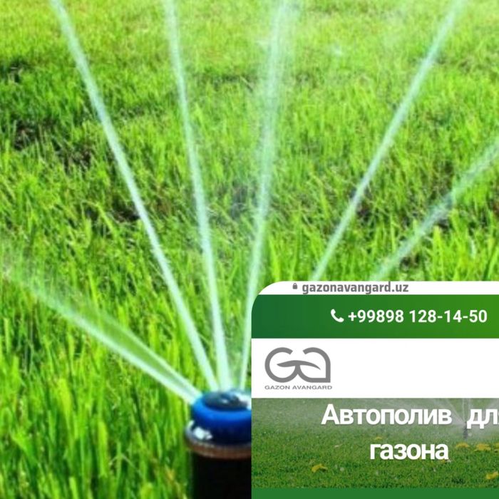 Авто полив газона