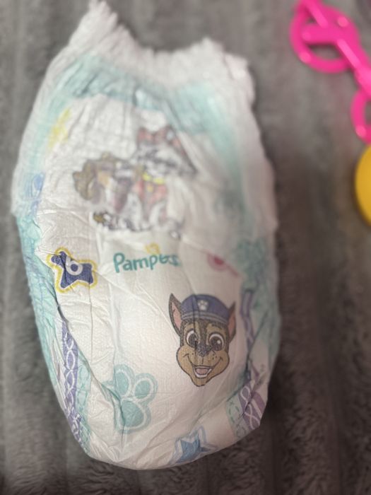 Pampers pants paw patrol