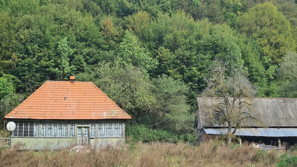 Vand proprietate pe Transapuseana