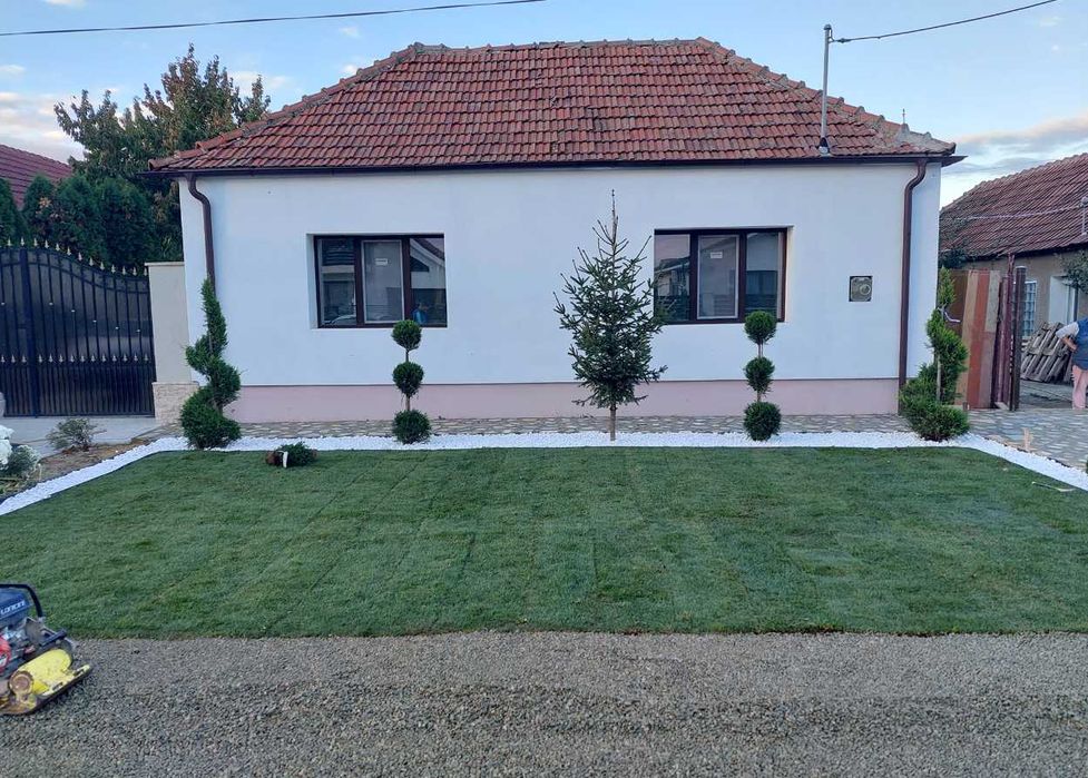 Gazon Natural pentru Curți Moderne și Vile Elegante