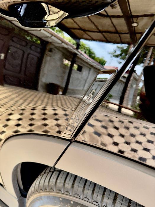 Накладки на двери BYD CHAMPION