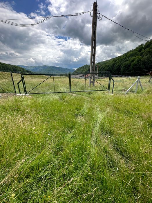 Teren intravilan Cheia, Prahova