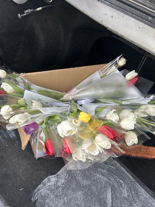 Цветы 25000 цена 51 тюльпаны