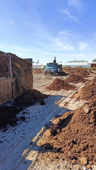 Пори нури гунг куй молдики