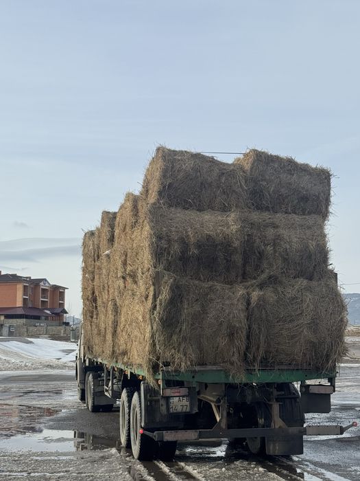 Продам сено луговое в рулонах