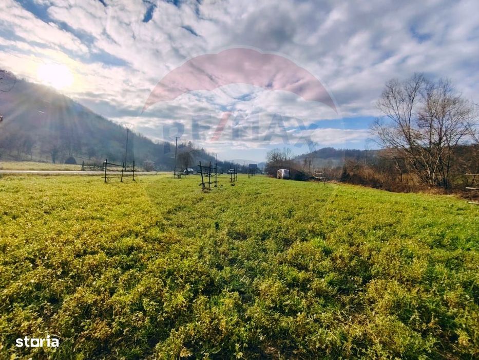COMISION 0%  Teren intravilan de vanzare in Barsana (26 ARI)