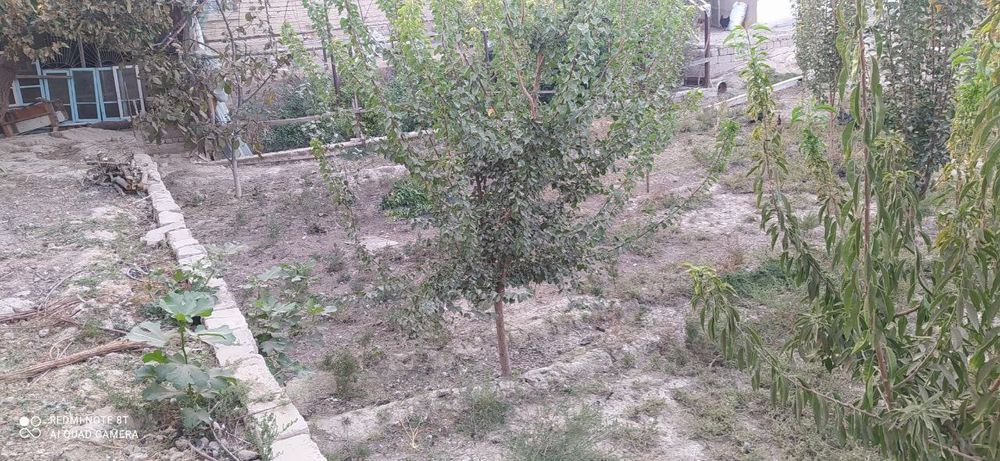 8 sotik Piskent tumani birlik maxallasi navrov ko'chasi 4-uy