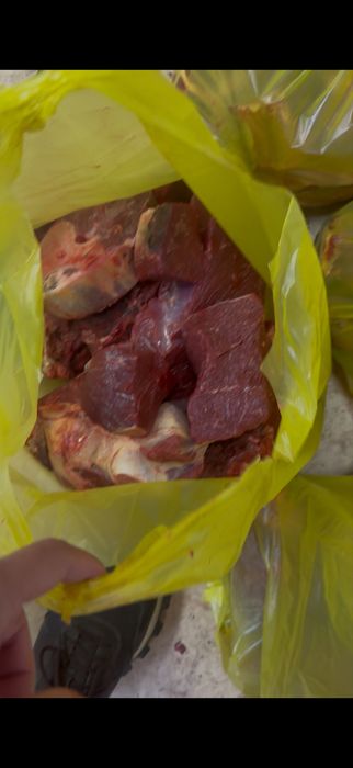 Мясо конина по 10 кг