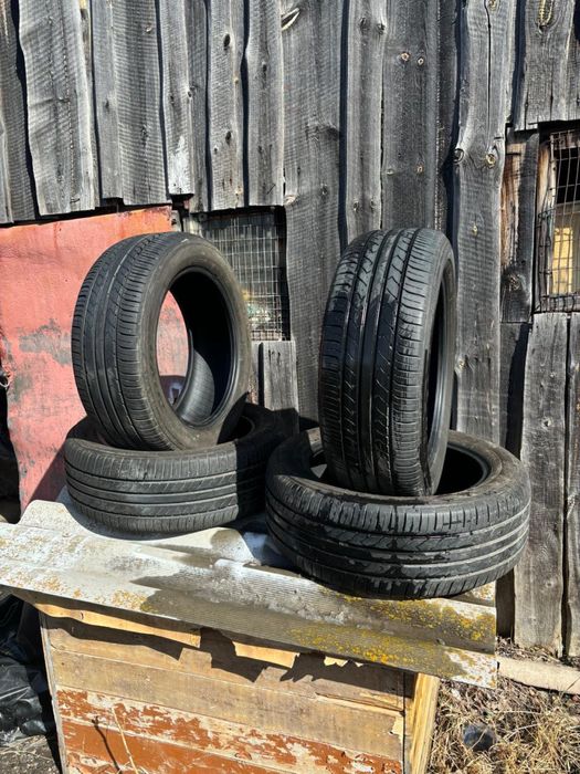 Летние шины Toyo