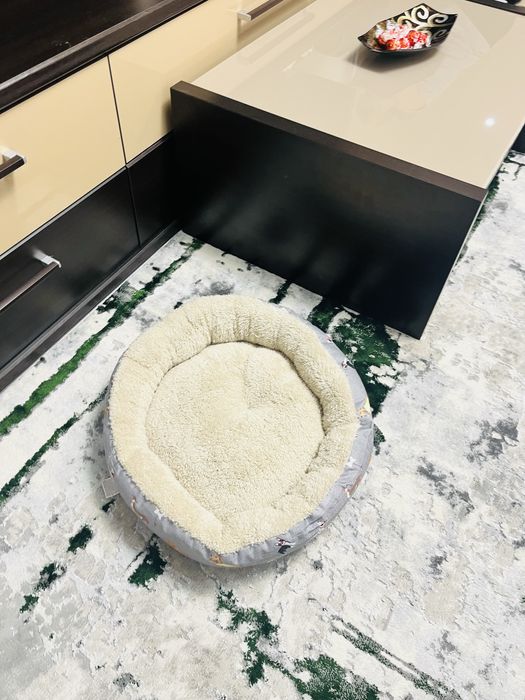 Vand Zestre pentru pisica