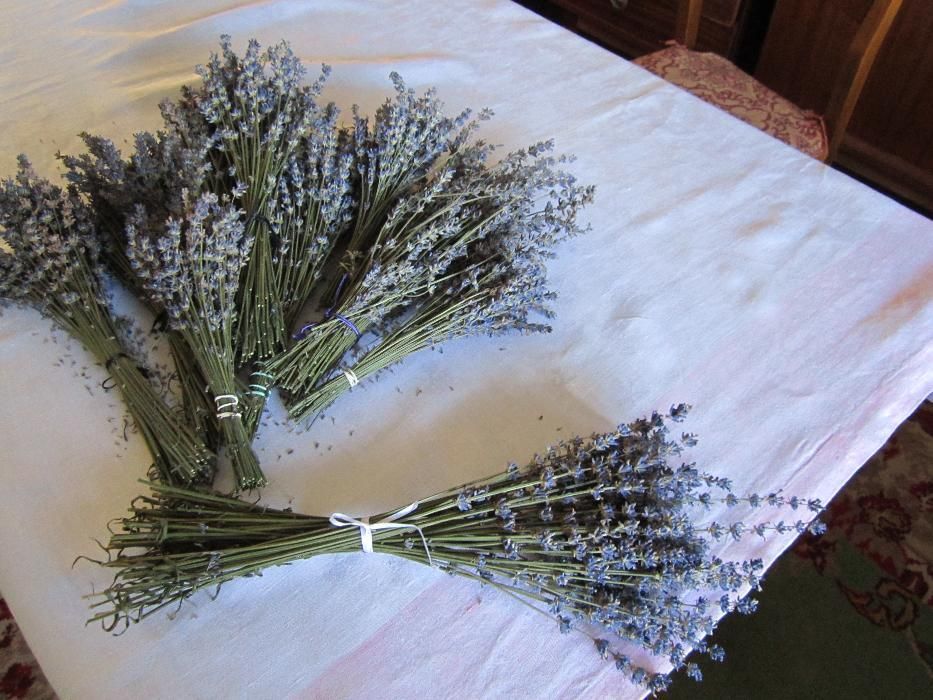 Rochie de vara crem. Noua + bonus levantica si Livrare gratuita*