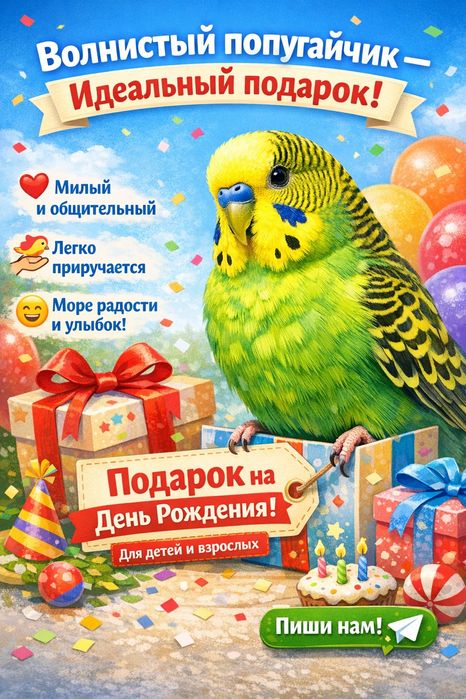 Попугаи. Волнистые