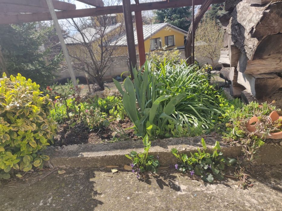 Отдавам под наем