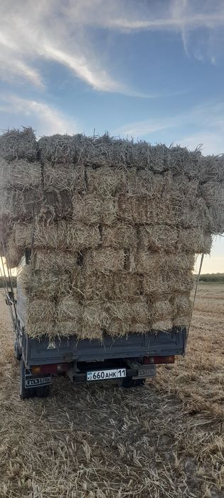 Қамыс прес сабан бар