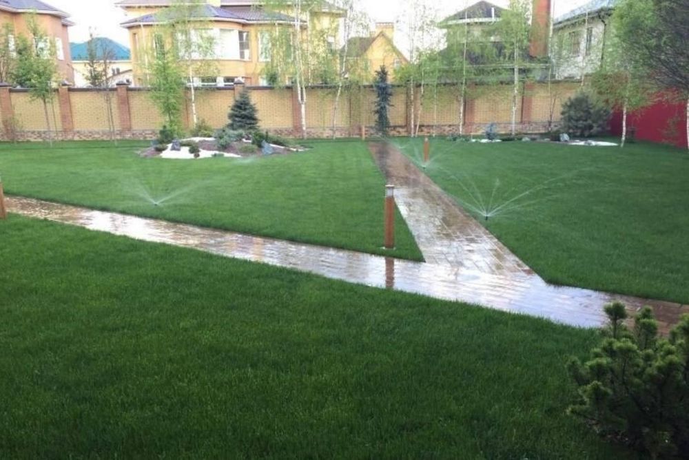 Газон Автополив рулонный посевной