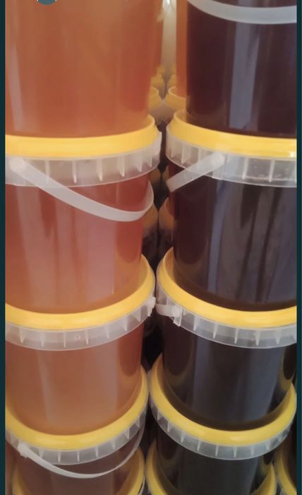 Продам мёд свежий 2025 года