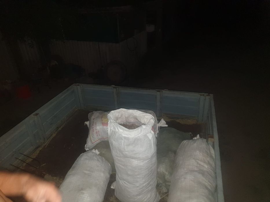 Продам навоз конина Срочно