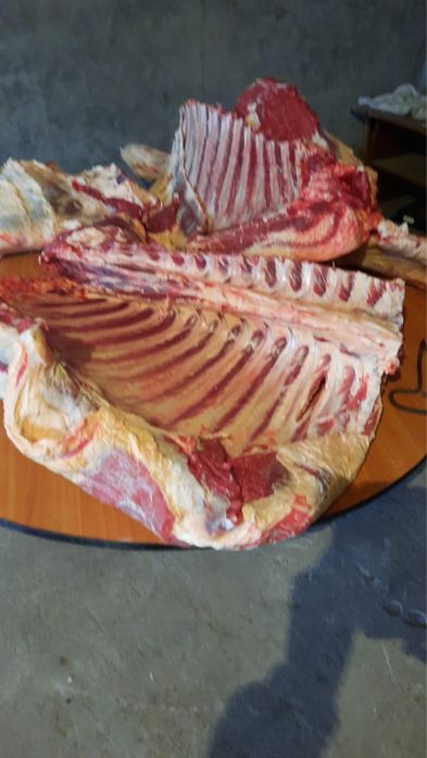 Продам мясо говядены