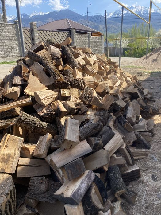 Карагачь для шашлыка бани