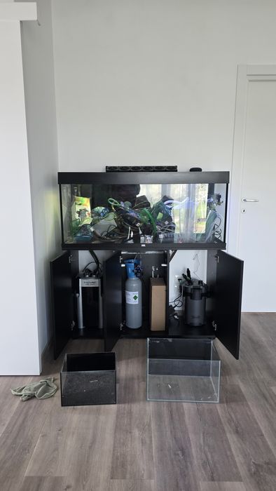 Acvariu complet si Accesorii JUWEL Rio 240 iluminare cu LED