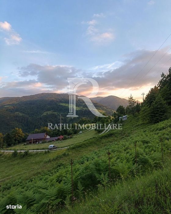 Teren 10.900mp | Panoramă în Apuseni | Remeți -Ideal pentru Investitii