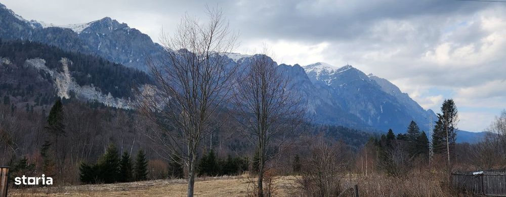 Teren 622 mp in Sinaia - Zamora, priveliste peisagistică către Bucegi!