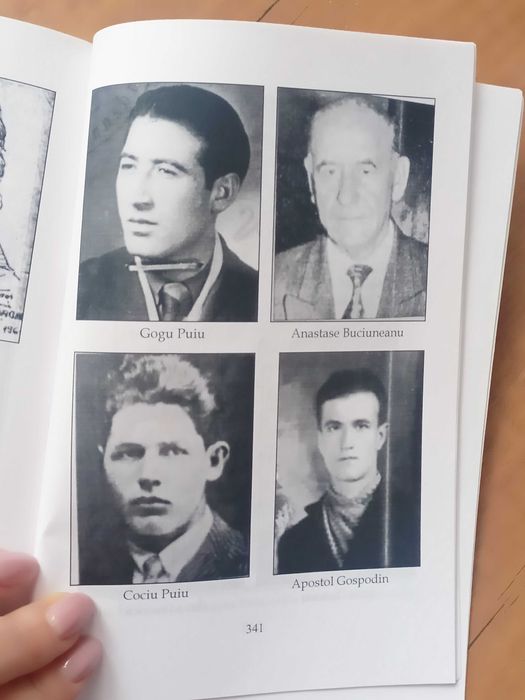 Haiducii Dobrogei și Rezistența anticomunistă de la Nucsoara