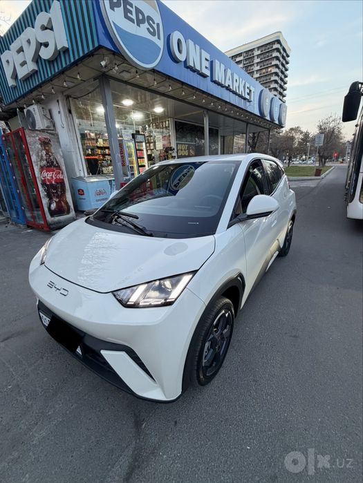 Byd seagull srochna sotiladi