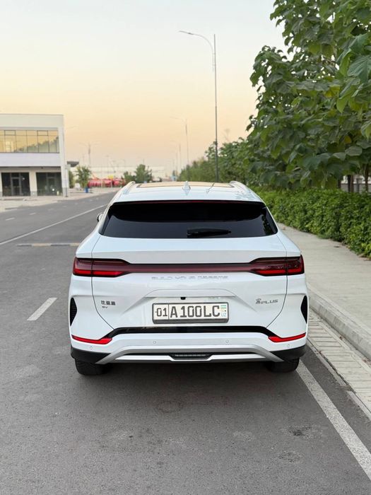 Byd Chempion 605