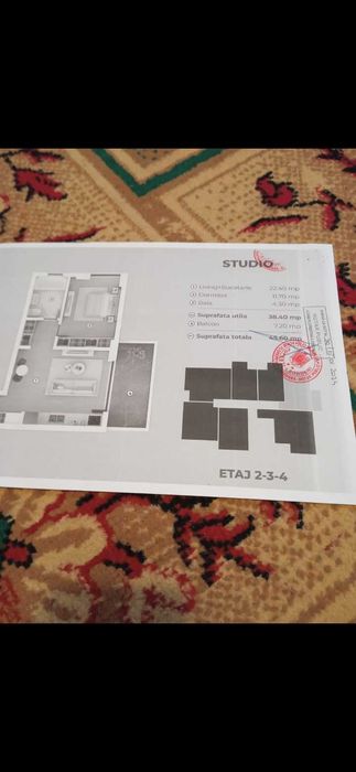 Apartamente și case