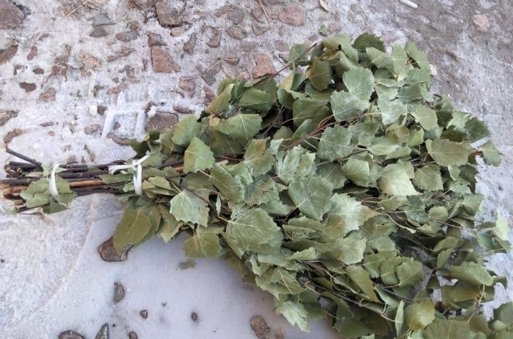 Продам берёзовые веники