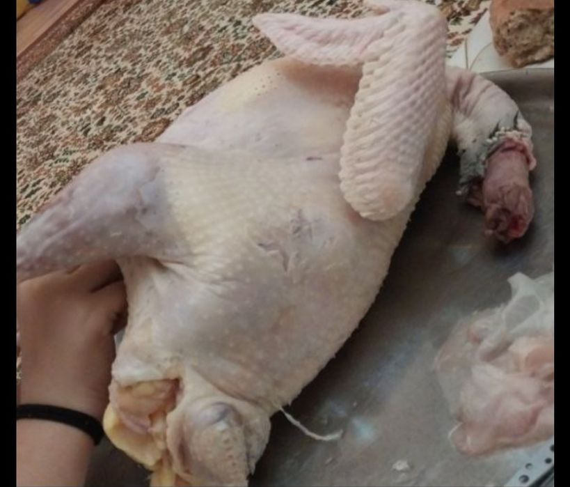 Продаются очень экологически чистые курочки,индюшки,индоутки,перепёлки