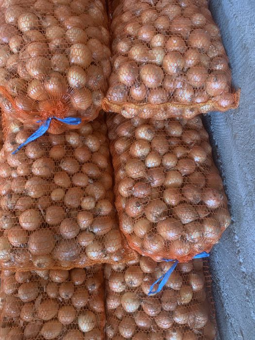 Ceapa galbena de vanzare